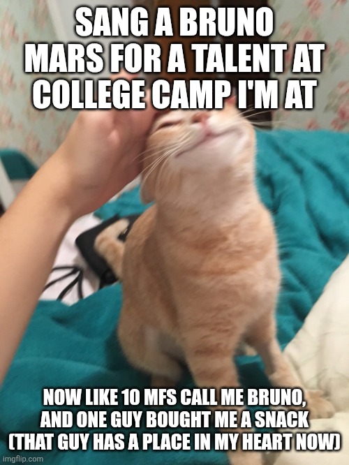 If u wanna know the coolest acts and stuff, just ask | SANG A BRUNO MARS FOR A TALENT AT COLLEGE CAMP I'M AT; NOW LIKE 10 MFS CALL ME BRUNO, AND ONE GUY BOUGHT ME A SNACK (THAT GUY HAS A PLACE IN MY HEART NOW) | image tagged in cat pat | made w/ Imgflip meme maker