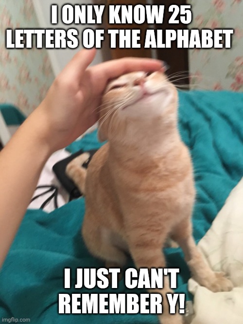 I love dad jokes btw | I ONLY KNOW 25 LETTERS OF THE ALPHABET; I JUST CAN'T REMEMBER Y! | image tagged in cat pat | made w/ Imgflip meme maker