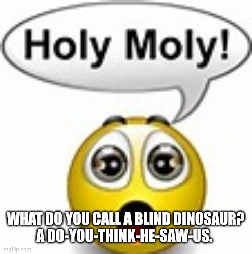 HOLY MOLY emoji | WHAT DO YOU CALL A BLIND DINOSAUR?

A DO-YOU-THINK-HE-SAW-US. | image tagged in holy moly emoji | made w/ Imgflip meme maker
