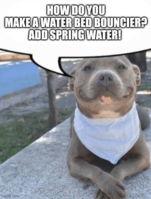 Waiter more x please | HOW DO YOU MAKE A WATER BED BOUNCIER?

ADD SPRING WATER! | image tagged in waiter more x please | made w/ Imgflip meme maker