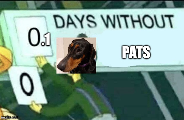 0 days without (Lenny, Simpsons) | .1; PATS | image tagged in 0 days without lenny simpsons,memes,funny,cute dog,funny animals,funny dog | made w/ Imgflip meme maker
