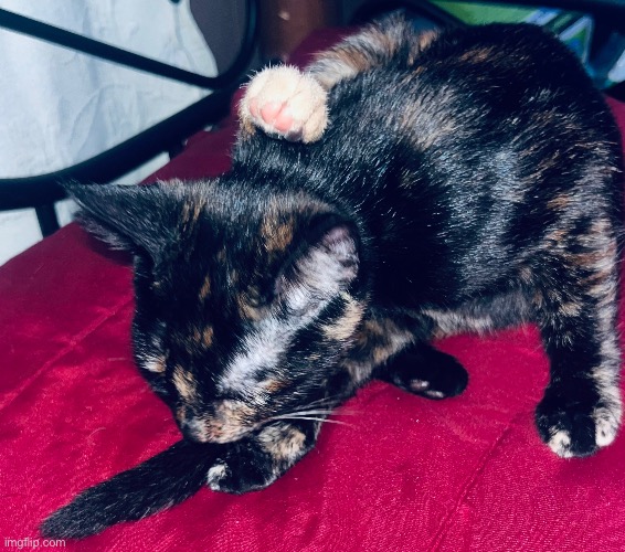 i wanted you to knooooowwwwww that i am ready to goooooo | made w/ Imgflip meme maker