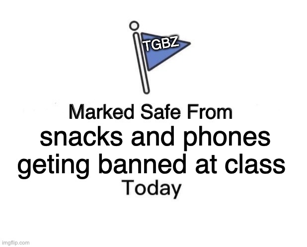 The average substitute | TGBZ; snacks and phones geting banned at class | image tagged in school,marked safe from | made w/ Imgflip meme maker