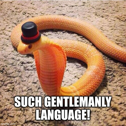 Dapper Snek | SUCH GENTLEMANLY LANGUAGE! | image tagged in dapper snek | made w/ Imgflip meme maker