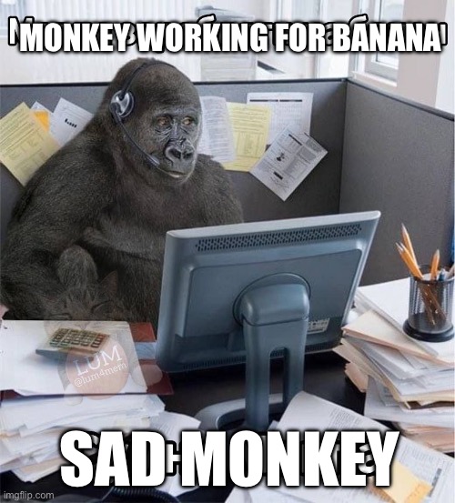 MONKEY WORKING FOR BANANA; SAD MONKEY | image tagged in funny,memes,work,monkey,banana | made w/ Imgflip meme maker