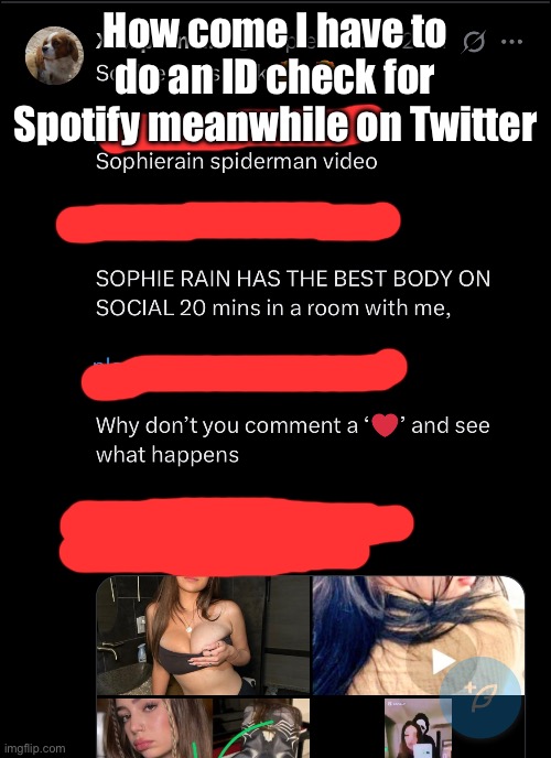 How come I have to do an ID check for Spotify meanwhile on Twitter | made w/ Imgflip meme maker