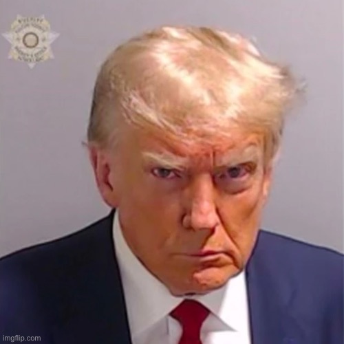 Trump's Mugshot | image tagged in trump's mugshot | made w/ Imgflip meme maker