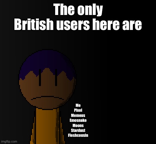 brother | The only British users here are; Me
Pixel
Memeus
Emosnake
Moons
Stardust
Fleshcousin | image tagged in brother | made w/ Imgflip meme maker