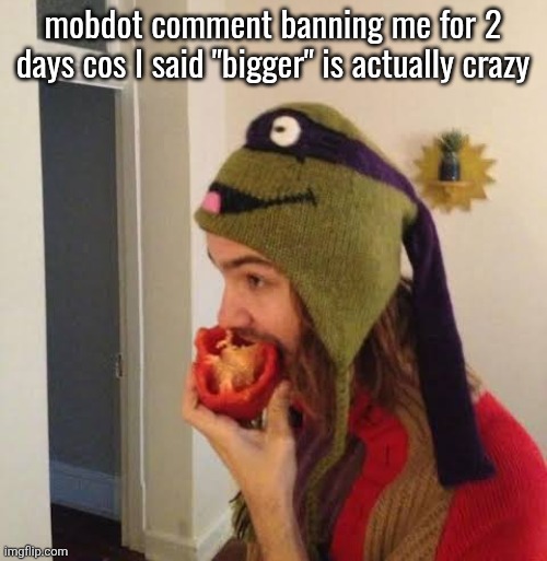 Kevin Parker eating bell pepper | mobdot comment banning me for 2 days cos I said "bigger" is actually crazy | image tagged in kevin parker eating bell pepper | made w/ Imgflip meme maker