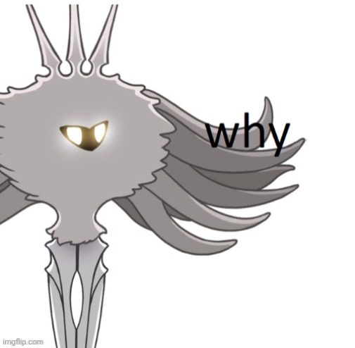 image tagged in radiance why | made w/ Imgflip meme maker
