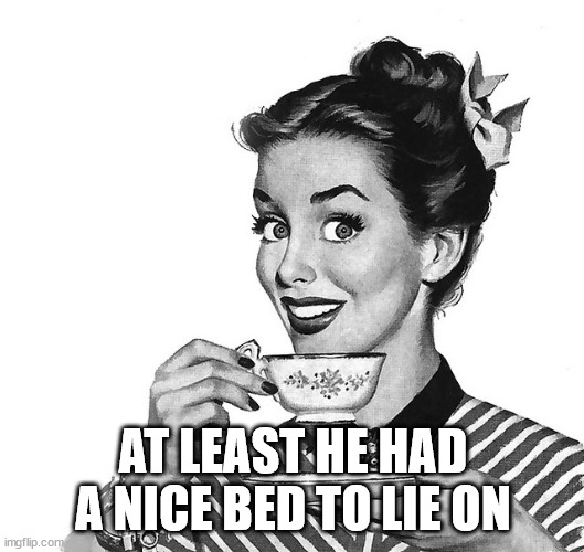 Retro woman teacup | AT LEAST HE HAD A NICE BED TO LIE ON | image tagged in retro woman teacup | made w/ Imgflip meme maker
