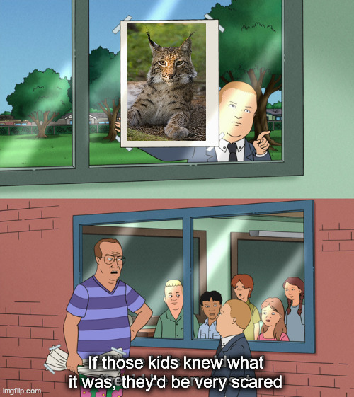 If those kids could read they'd be very upset | If those kids knew what it was, they'd be very scared | image tagged in if those kids could read they'd be very upset | made w/ Imgflip meme maker
