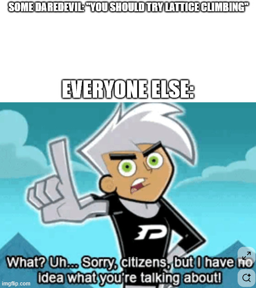 Danny Phantom, not that climb | SOME DAREDEVIL: ''YOU SHOULD TRY LATTICE CLIMBING''; EVERYONE ELSE: | image tagged in lattice climbing,danny phantom,cartoons,climbing,steeltower,dark humor | made w/ Imgflip meme maker