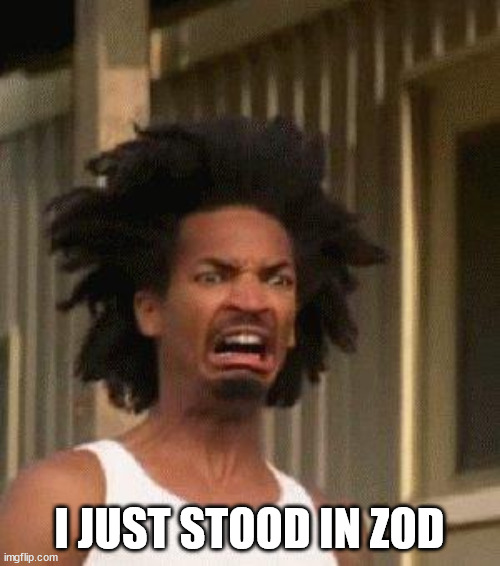 Disgusted Face | I JUST STOOD IN ZOD | image tagged in disgusted face | made w/ Imgflip meme maker