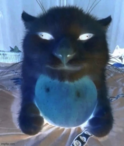 image tagged in cat with head on apple | made w/ Imgflip meme maker