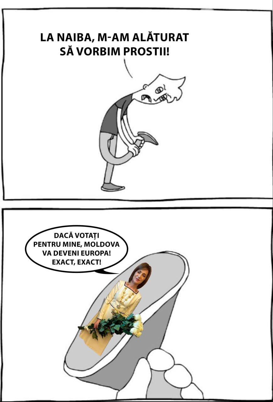 maia sandu meme майя санду мем Blank Meme Template