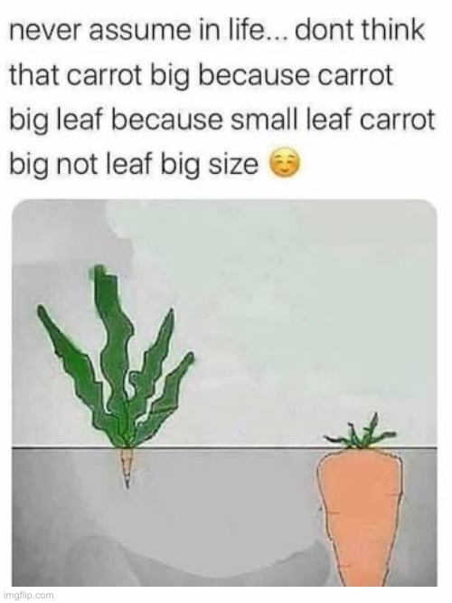 Perfect for this stream | image tagged in big carrot,stroke,godzilla had a stroke trying to read this and fricking died | made w/ Imgflip meme maker