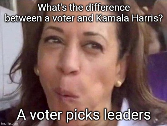 Kamala Harris | What's the difference between a voter and Kamala Harris? A voter picks leaders | image tagged in kamala harris | made w/ Imgflip meme maker