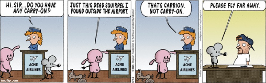 Pearls Before Swine | image tagged in comics | made w/ Imgflip meme maker