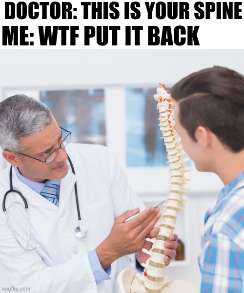 Doctor: This Is Your Spine Me: Put It Back | DOCTOR: THIS IS YOUR SPINE; ME: WTF PUT IT BACK | image tagged in chrisjoines1 | made w/ Imgflip meme maker