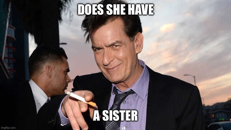 DOES SHE HAVE A SISTER | image tagged in charlie sheen | made w/ Imgflip meme maker