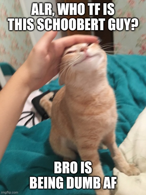 Like all his comments are just "huh?" | ALR, WHO TF IS THIS SCHOOBERT GUY? BRO IS BEING DUMB AF | image tagged in cat pat | made w/ Imgflip meme maker
