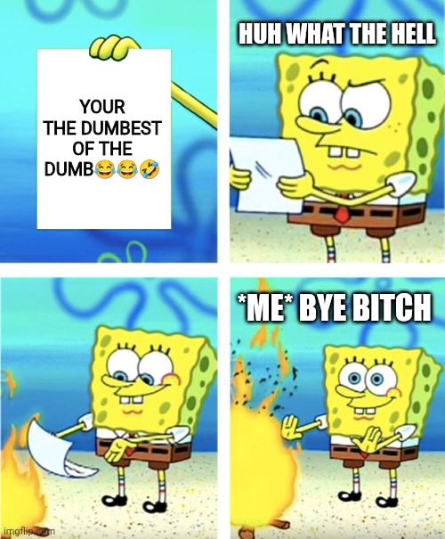 Spongebob Burning Paper | HUH WHAT THE HELL; YOUR THE DUMBEST OF THE DUMB😂😂🤣; *ME* BYE BITCH | image tagged in spongebob burning paper | made w/ Imgflip meme maker