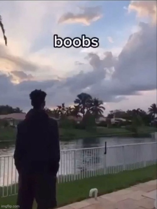 Are boobs just a myth? | image tagged in are boobs just a myth | made w/ Imgflip meme maker