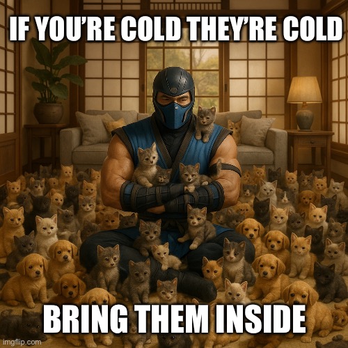 If you’re cold | IF YOU’RE COLD THEY’RE COLD; BRING THEM INSIDE | image tagged in mortalkombat,cats,puppies | made w/ Imgflip meme maker