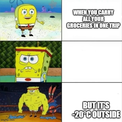 Bulky sponge bob | WHEN YOU CARRY ALL YOUR GROCERIES IN ONE TRIP; BUT IT'S -20°C OUTSIDE | image tagged in bulky sponge bob,slavic lives matter | made w/ Imgflip meme maker