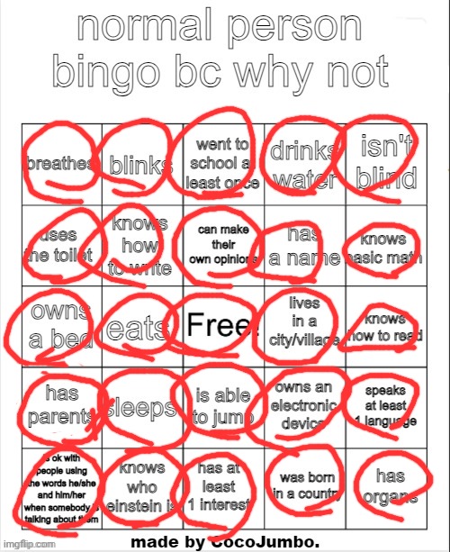 normal person bingo hehehe | image tagged in normal person bingo hehehe | made w/ Imgflip meme maker
