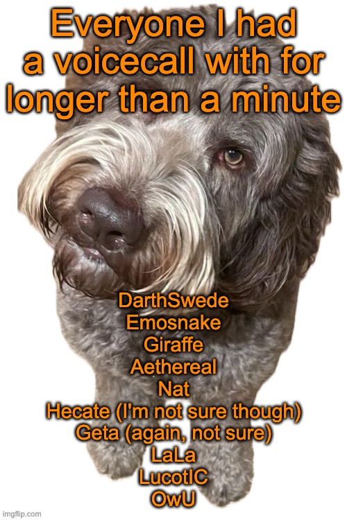 Meet42 calls that weren't voicecalls don't count | Everyone I had a voicecall with for longer than a minute; DarthSwede
Emosnake
Giraffe
Aethereal
Nat
Hecate (I'm not sure though)
Geta (again, not sure)
LaLa
LucotIC
OwU | image tagged in norther's dog | made w/ Imgflip meme maker