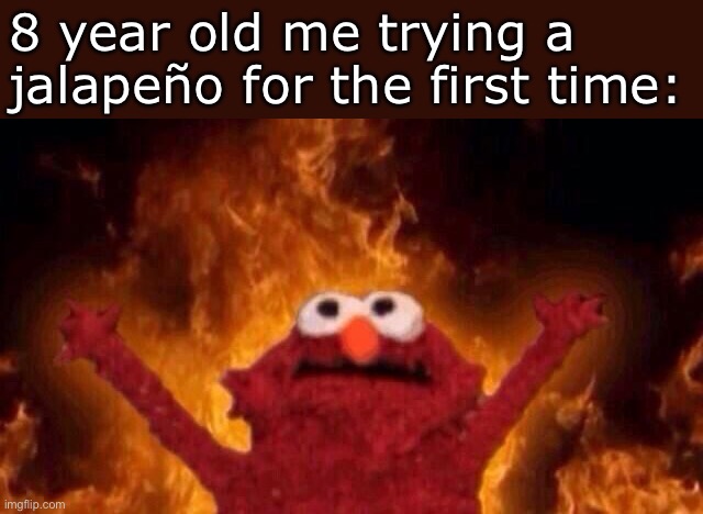 I was not prepared for it in the slightest- | 8 year old me trying a jalapeño for the first time: | image tagged in hellmo,memes,funny,pepper,jalapeno | made w/ Imgflip meme maker