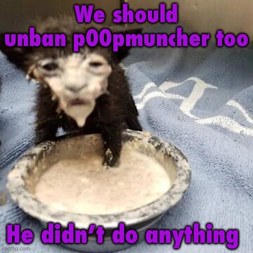 Pie :3 | We should unban p00pmuncher too; He didn’t do anything | image tagged in pie 3 | made w/ Imgflip meme maker