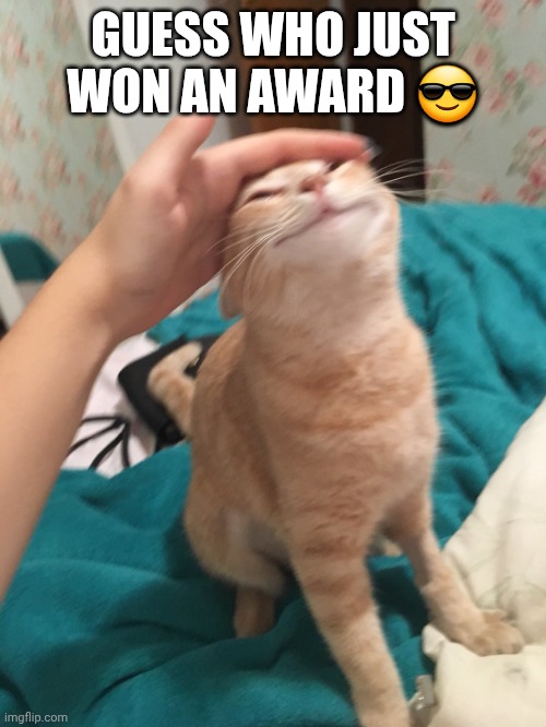 I did, I'm cool like that | GUESS WHO JUST WON AN AWARD 😎 | image tagged in cat pat | made w/ Imgflip meme maker