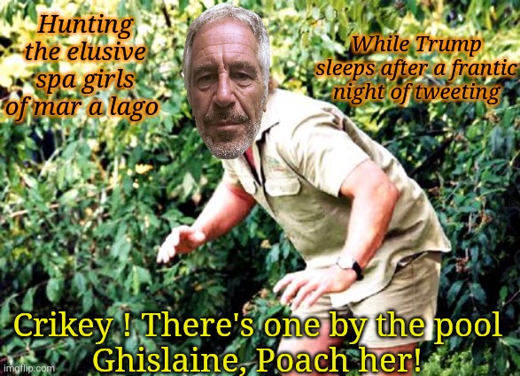 Crocodile Hunter Steve Irwin | Hunting the elusive spa girls of mar a lago Crikey ! There's one by the pool
Ghislaine, Poach her! While Trump sleeps after a frantic night  | image tagged in crocodile hunter steve irwin | made w/ Imgflip meme maker