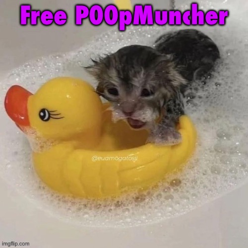 Watr | Free P00pMuncher | image tagged in watr | made w/ Imgflip meme maker