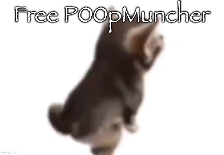 Side el gatito | Free P00pMuncher | image tagged in side el gatito | made w/ Imgflip meme maker