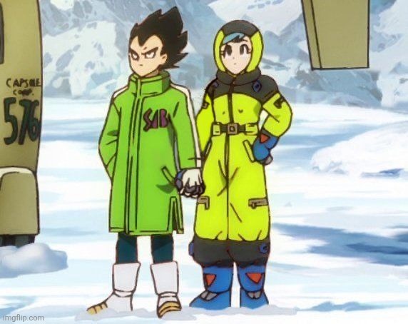 Will you be  bulma to my Vegeta? | image tagged in vegeta and bulma | made w/ Imgflip meme maker