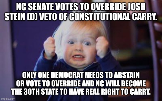 excited kid | NC SENATE VOTES TO OVERRIDE JOSH STEIN (D) VETO OF CONSTITUTIONAL CARRY. ONLY ONE DEMOCRAT NEEDS TO ABSTAIN OR VOTE TO OVERRIDE AND NC WILL BECOME THE 30TH STATE TO HAVE REAL RIGHT TO CARRY. | image tagged in excited kid | made w/ Imgflip meme maker