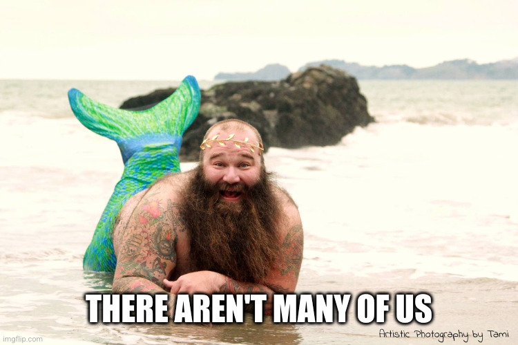 Fat Mermaid Man Beard | THERE AREN'T MANY OF US | image tagged in fat mermaid man beard | made w/ Imgflip meme maker