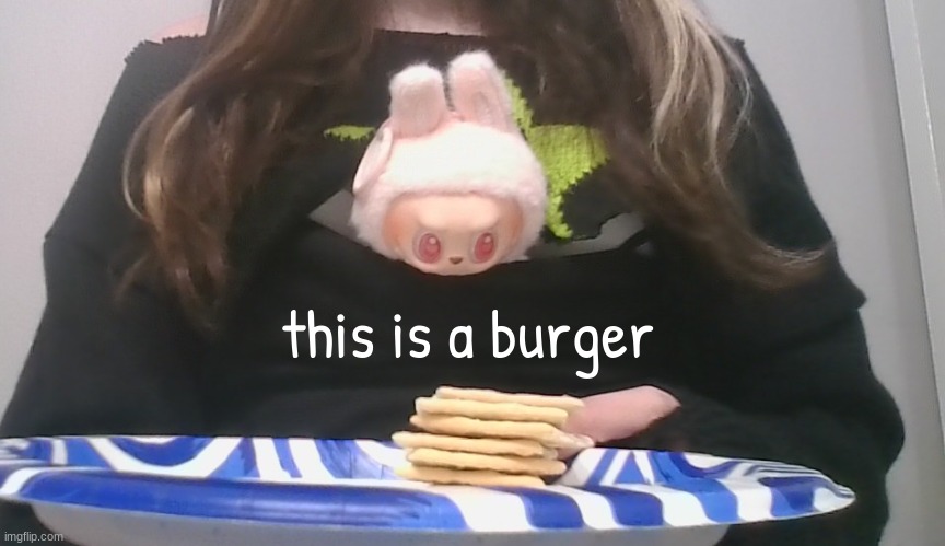 tell me im wrong | this is a burger | made w/ Imgflip meme maker
