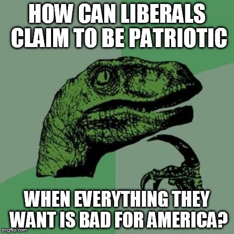 Philosoraptor | HOW CAN LIBERALS CLAIM TO BE PATRIOTIC WHEN EVERYTHING THEY WANT IS BAD FOR AMERICA? | image tagged in memes,philosoraptor | made w/ Imgflip meme maker