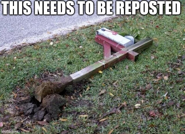 This Needs To Be Reposted | THIS NEEDS TO BE REPOSTED | image tagged in chrisjoines1 | made w/ Imgflip meme maker