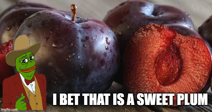 I BET THAT IS A SWEET PLUM | made w/ Imgflip meme maker