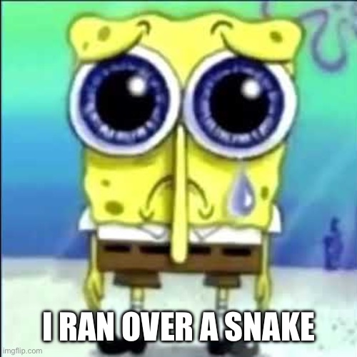 Sad Spongebob | I RAN OVER A SNAKE | image tagged in sad spongebob | made w/ Imgflip meme maker
