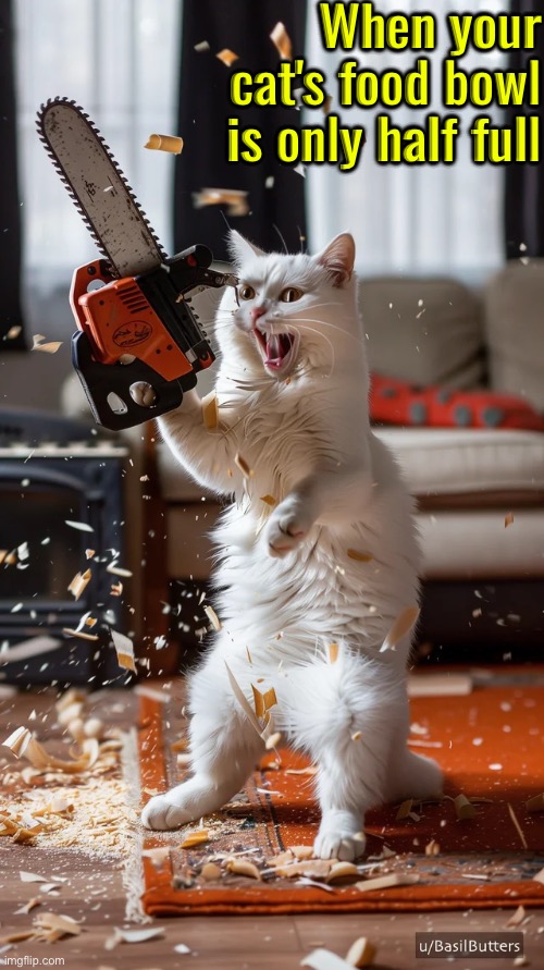 Only Half Full | When your cat's food bowl is only half full | image tagged in cats,funny cat memes,chainsaw,rage,i will find you and kill you,fun | made w/ Imgflip meme maker