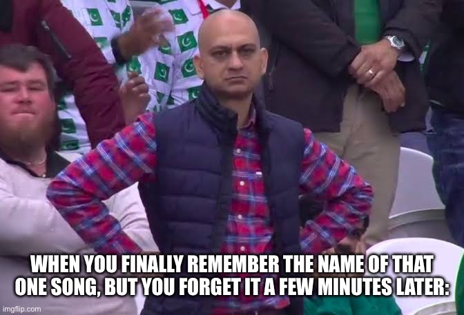 Great, now it’s gonna take forever to remember it again! | WHEN YOU FINALLY REMEMBER THE NAME OF THAT ONE SONG, BUT YOU FORGET IT A FEW MINUTES LATER: | image tagged in disappointed man | made w/ Imgflip meme maker