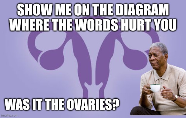 Purple Uterus | SHOW ME ON THE DIAGRAM WHERE THE WORDS HURT YOU; WAS IT THE OVARIES? | image tagged in purple uterus | made w/ Imgflip meme maker