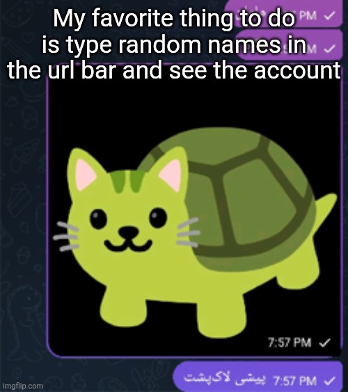 پیشی لاک پشت | My favorite thing to do is type random names in the url bar and see the account | made w/ Imgflip meme maker